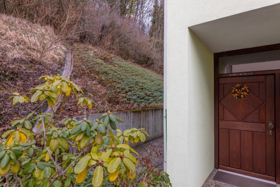 Eingang Doppelhaush�lfte Waldshut-Tiengen