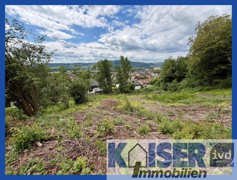 Blick auf das Grundst�ck Dogern Wohngrundst�ck Gro�z�giger Bauplatz in ruhiger Aussichtslage von Dogern - ideale Voraussetzungen f�r Ihr Eigenheim.